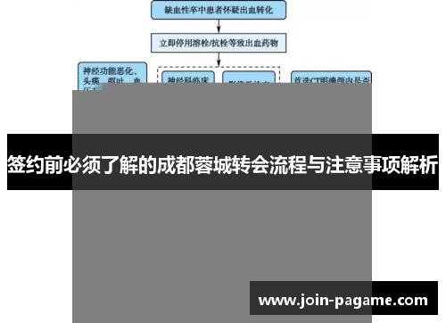 签约前必须了解的成都蓉城转会流程与注意事项解析