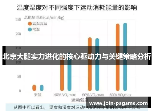 北京大腿实力进化的核心驱动力与关键策略分析