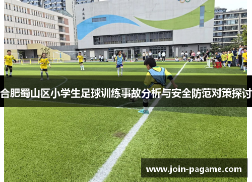 合肥蜀山区小学生足球训练事故分析与安全防范对策探讨