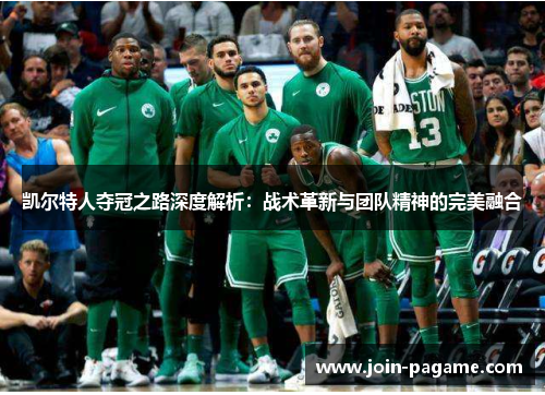 凯尔特人夺冠之路深度解析：战术革新与团队精神的完美融合